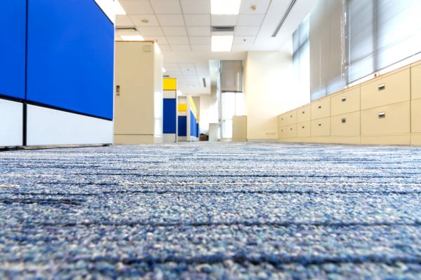 Business Carpet Cleaning in West Palm Beach