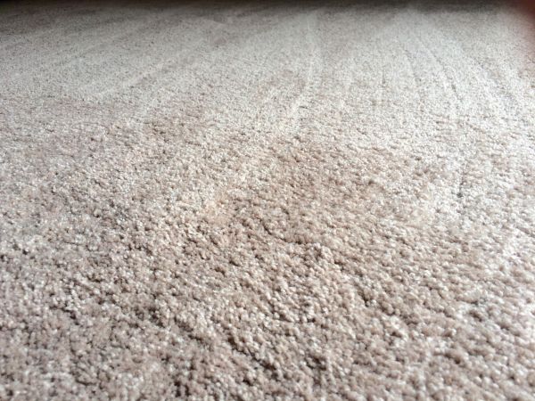 Plush Carpet Installation in West Palm Beach