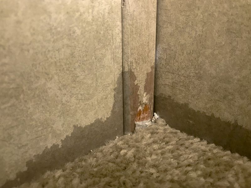 Carpet Hole Repair
